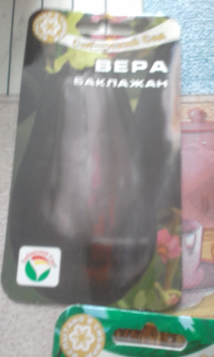 Zhan Zhak-8