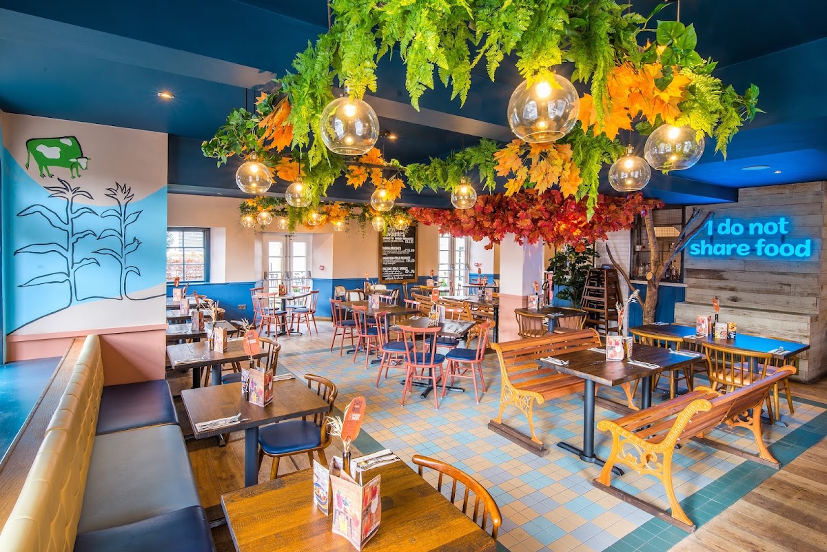 Zizzi - Hereford-3