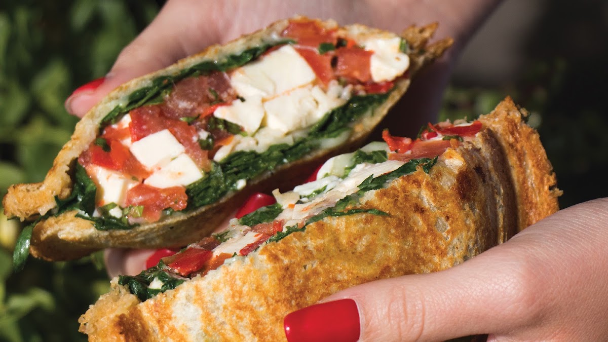 Zookz Sandwiches-4