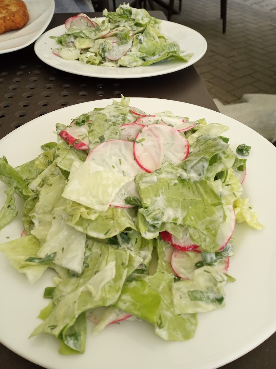 Złota Grota. Restauracja. Kuchnia Śródziemnomorska. Catering-10