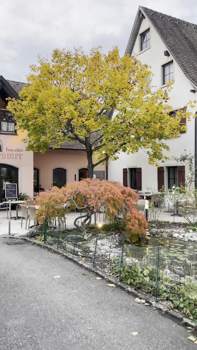 Zum Alten Mesmer-2