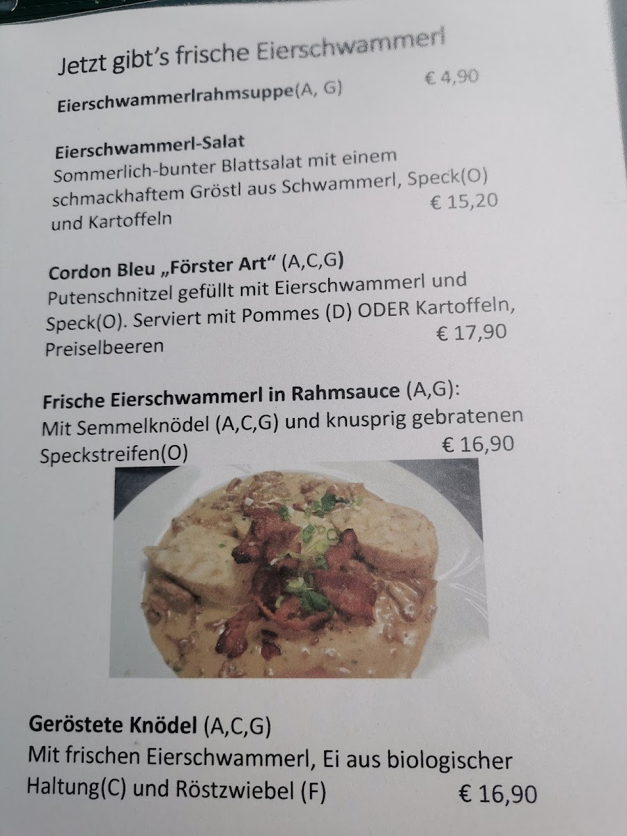Menu Zum Donauwirt-2